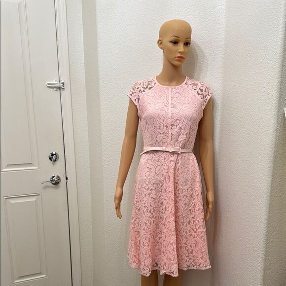 Eva Mendes New York Co Pink Lace A Line Flutter Short Sleeve Midi Dress Sz 4 - Picture 3 of 17